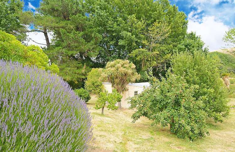 769 Ardgour Road Westland Surrounds_13