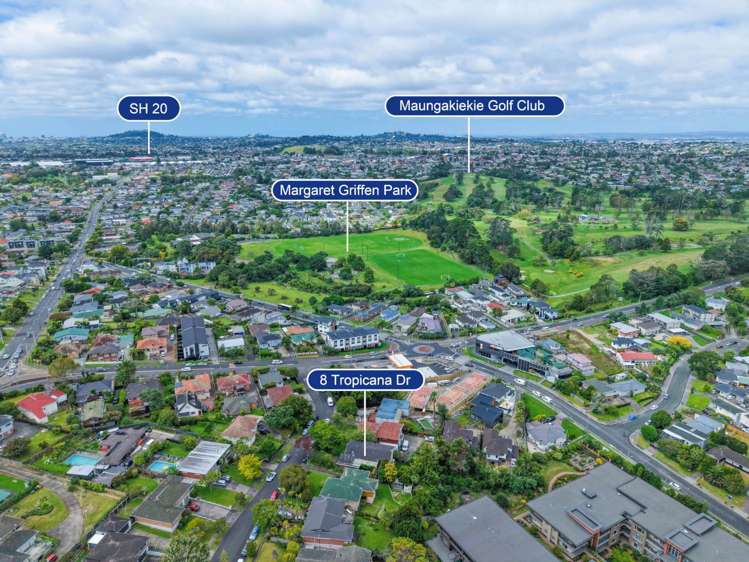 8 Tropicana Drive Mt Roskill_20
