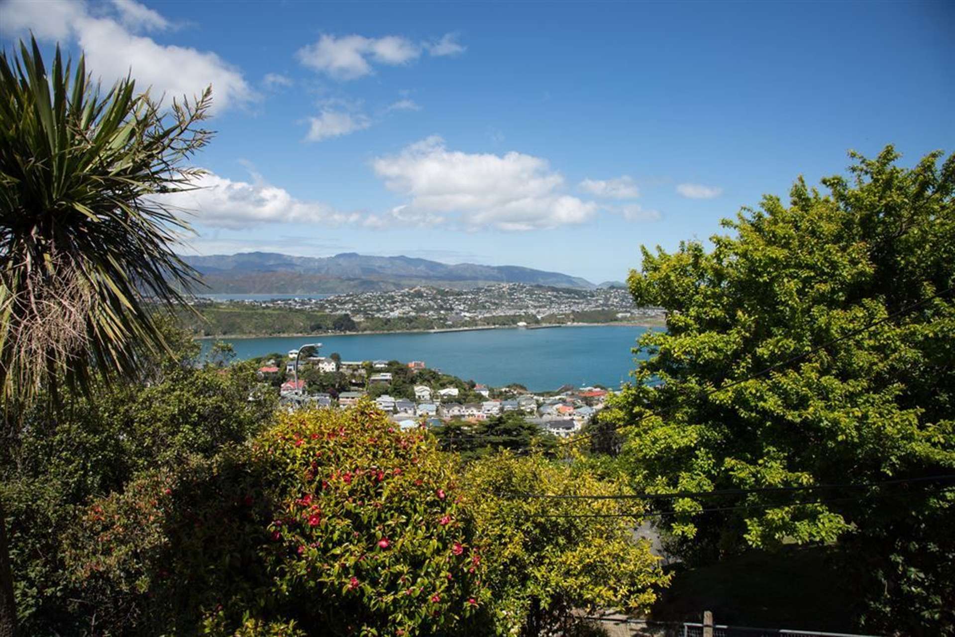 37 Marewa Road Hataitai_0