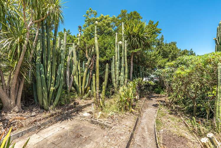 36 Broadhead Avenue Tawhero_17