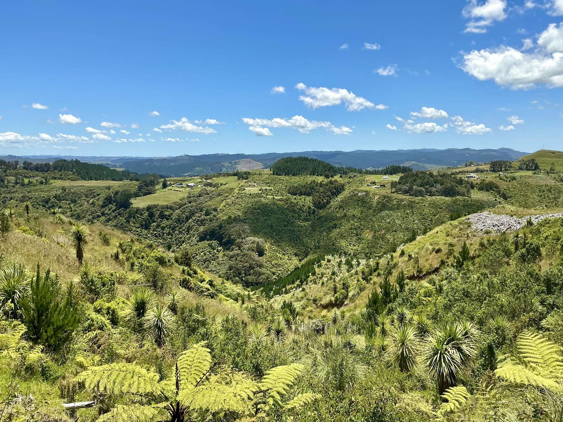 103 Dill Road Kaipara Flats_0