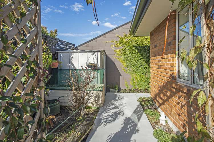 4b D'Arcy Street Leeston_16
