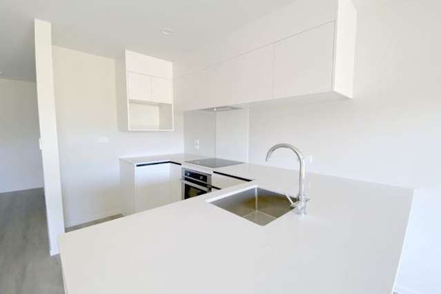 16/137 Hall Avenue Favona_4