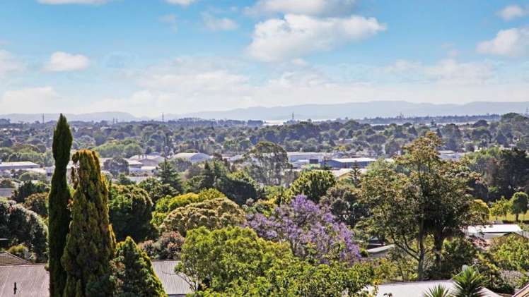 38 Barberton Terrace Red Hill_7