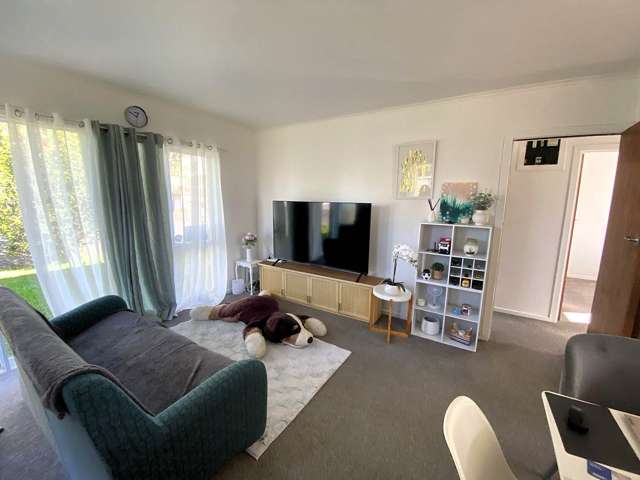 32C Lush Avenue St Johns_1