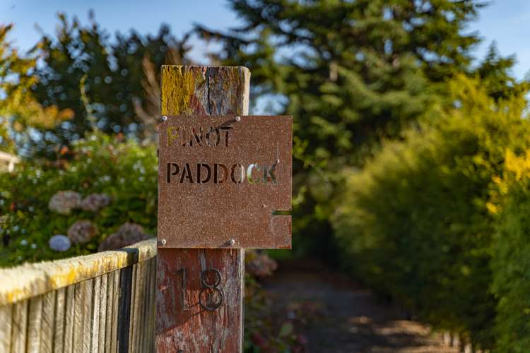 18 Dublin Street Martinborough_21