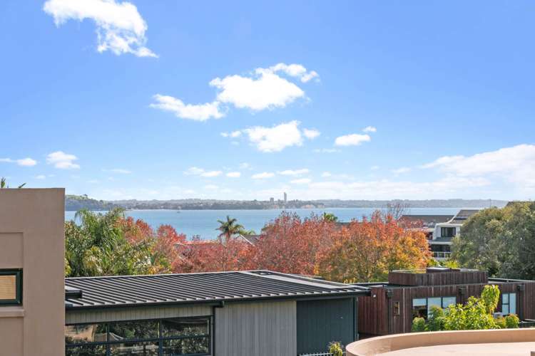 56 Polygon Road Saint Heliers_2