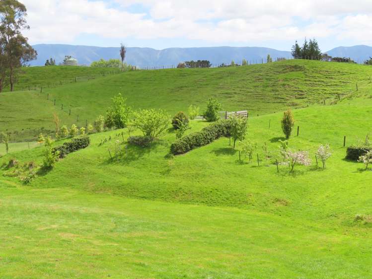 63 Knight Road Dannevirke_19