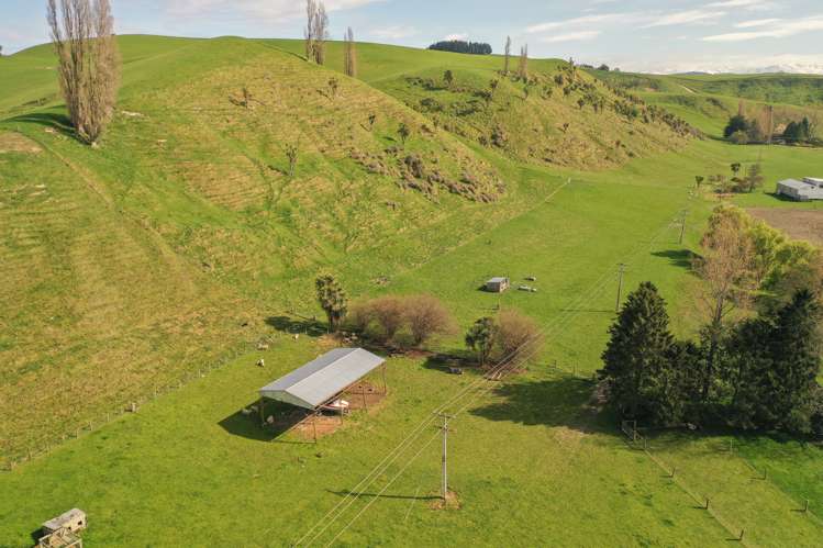 22 Hazelburn Road Pleasant Point_12