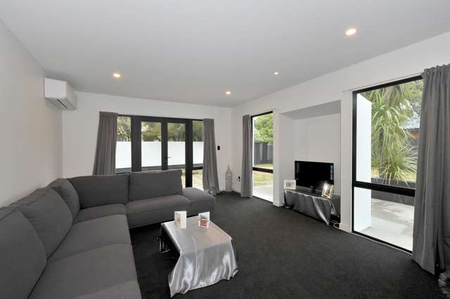 16 Ti Rakau Drive Woolston_2