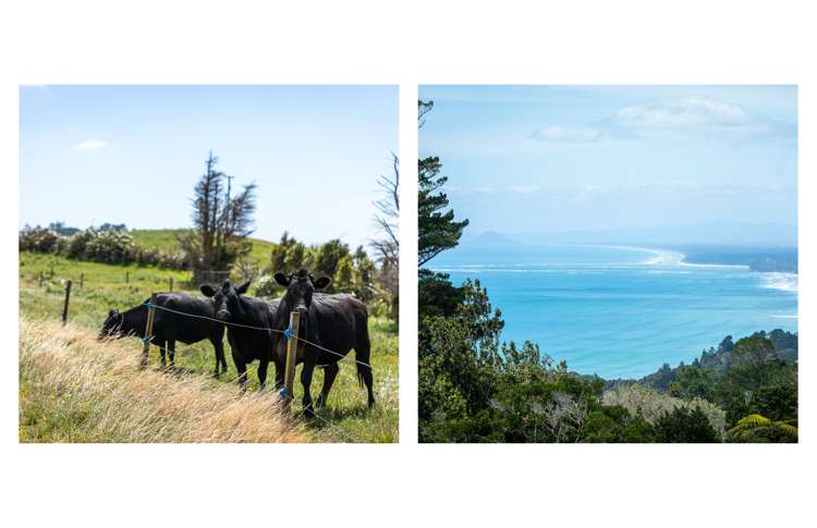 31 Ngatitangata Road Waihi_15