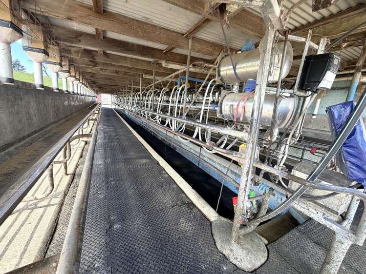 454 West Coast Road Te Kopuru_13