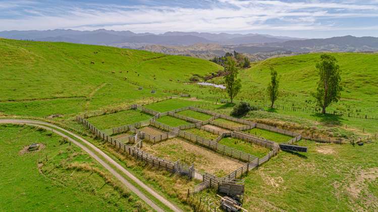 1094 Opaki Kaiparoro Road Rangitumau_6