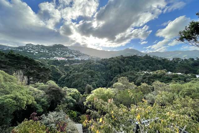 2c Leslie Street Wadestown_2