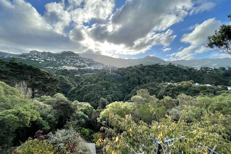 2c Leslie Street Wadestown_2
