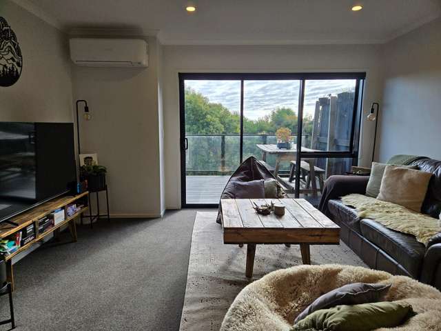 9/14 Ruakiwi Road Hamilton Lake_1