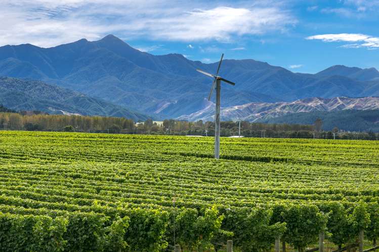 2486 State Highway 63 Wairau Valley_12