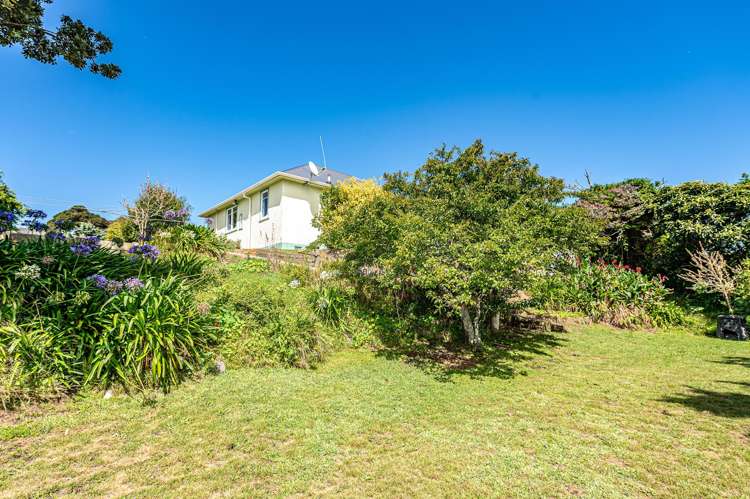 24 Toi Street Tawhero_25