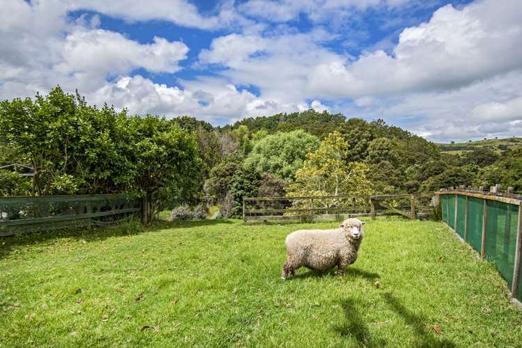 37 Pahi Road Paparoa_36