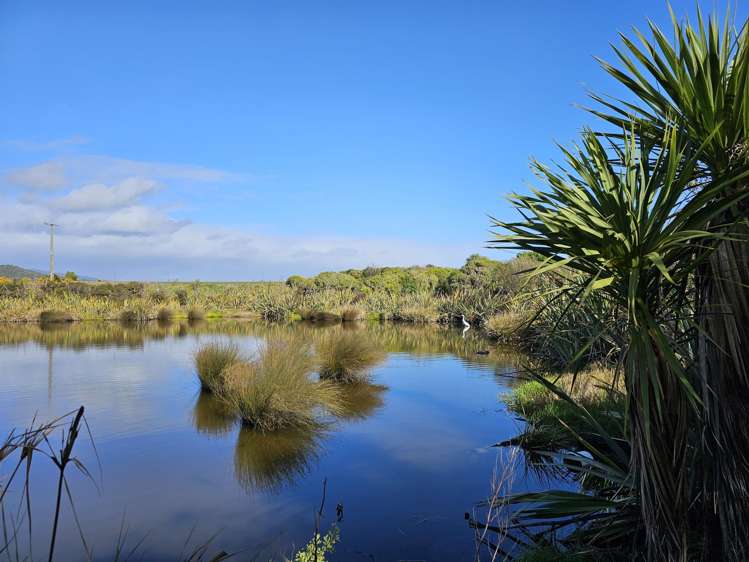 32 Domett Esplanade Cobden_56