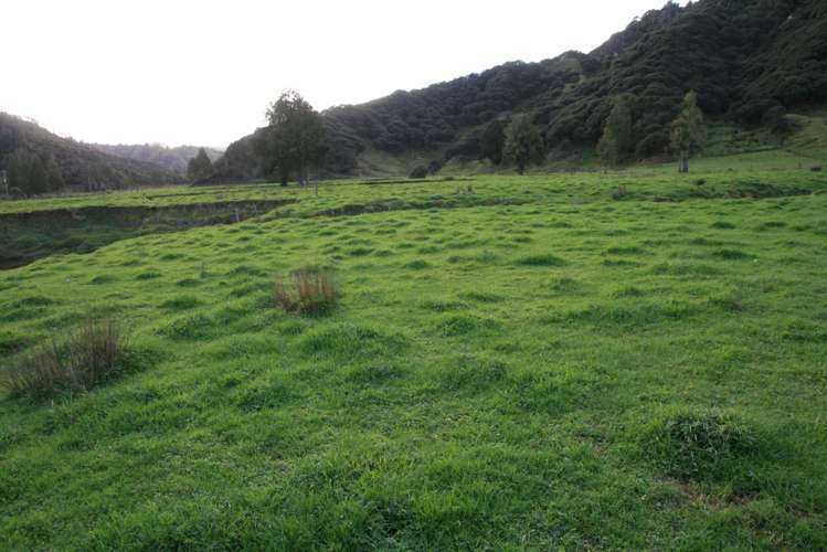 0n Mangaonga Road Ahititi_17