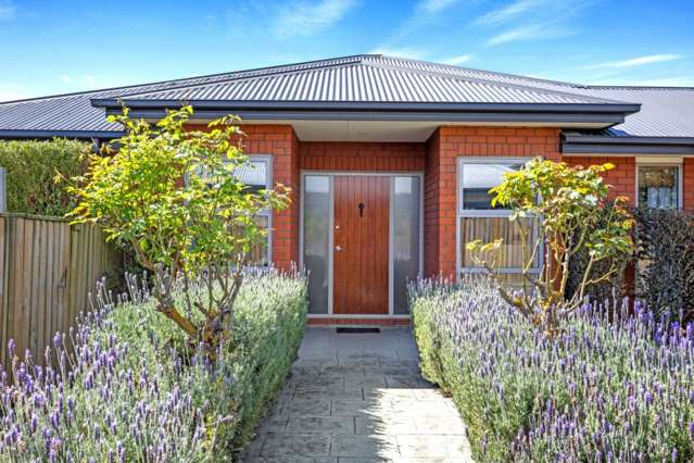 47c Birchfield Avenue Dallington_1
