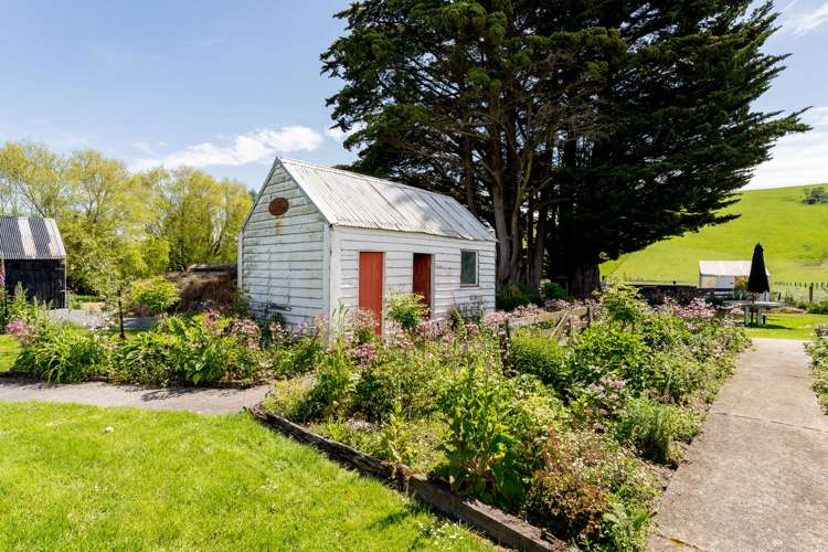 497 Waihola Highway Milton_33