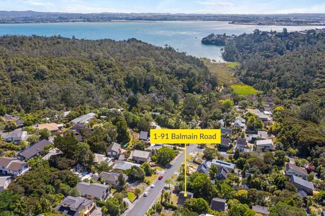 1/91 Balmain Road Birkenhead_1