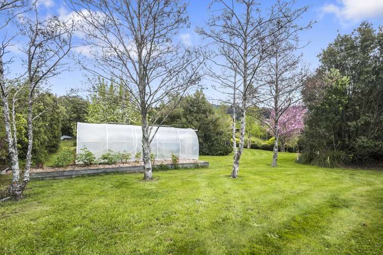 8 Wavy Knowes Drive Waldronville_21