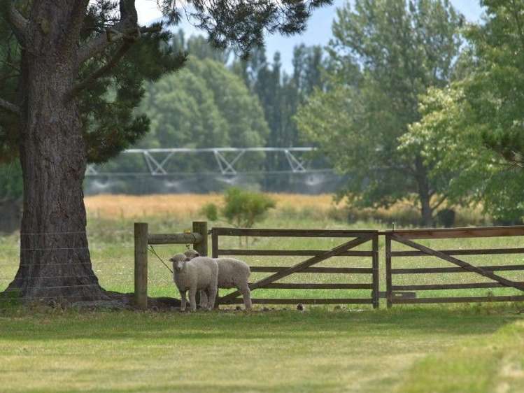 126 Sheats Road West Eyreton_22