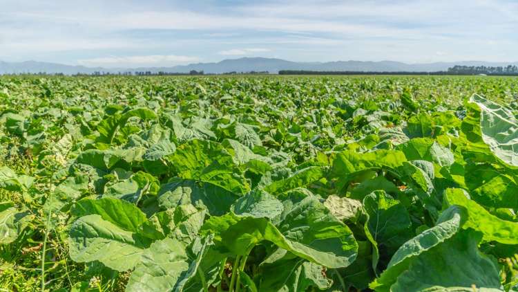 1051 Carleton Road Oxford_14