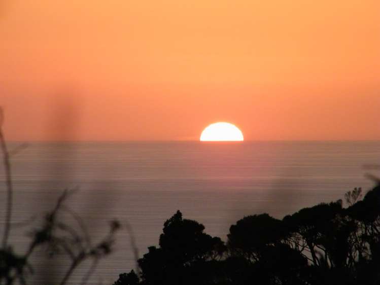 20 La Trobe Track Karekare_23