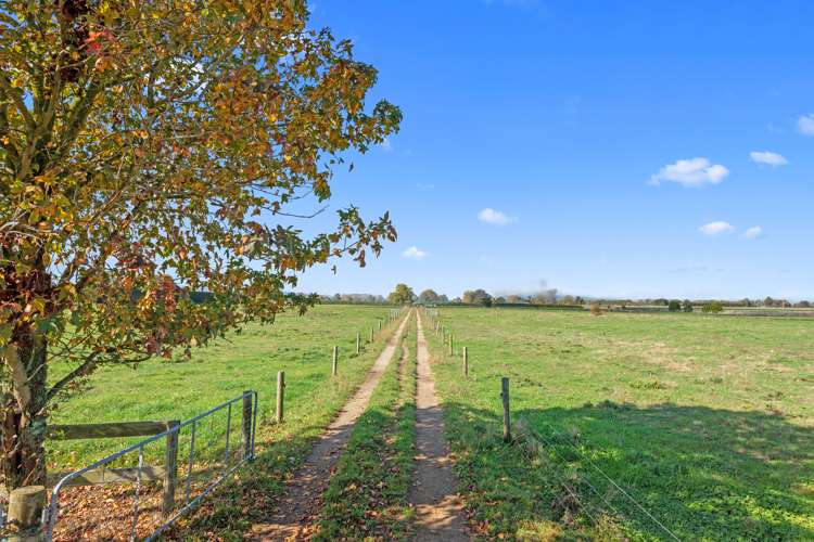 411 Marychurch Road Matangi_12