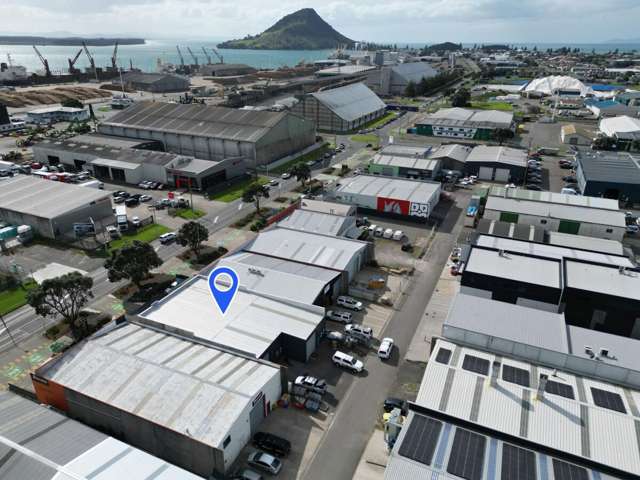 147 Totara Street Mount Maunganui_1