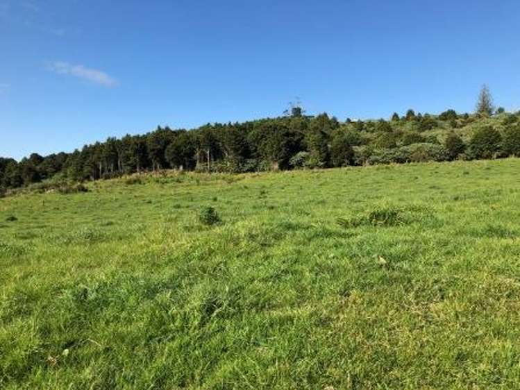 Whakataha Road Waimate North_10