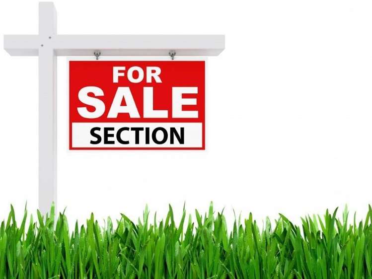 67a Ngamotu Road Spotswood_0