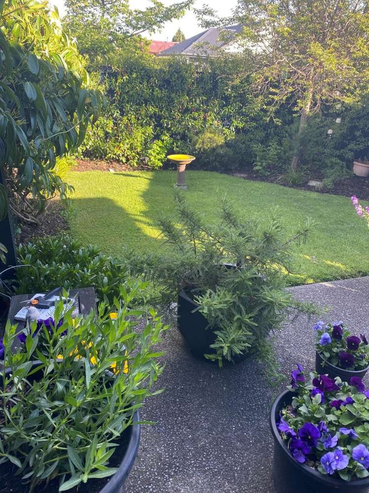 3/1 Blairdon Place Bishopdale_11