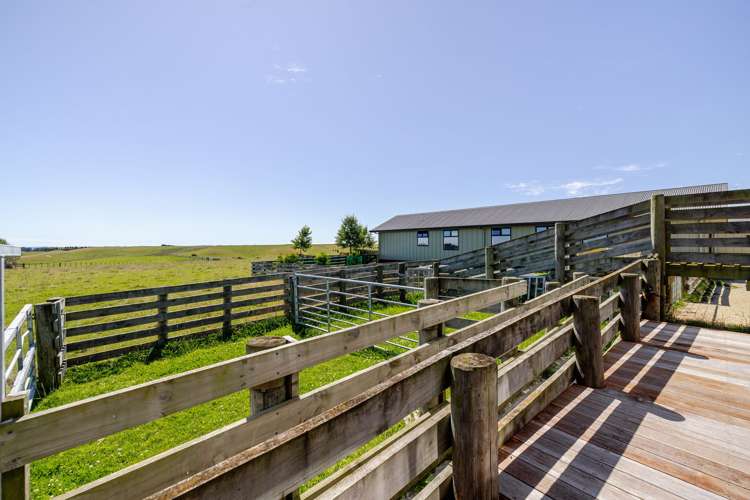 151 Mount Stewart Halcombe Road Sanson_45