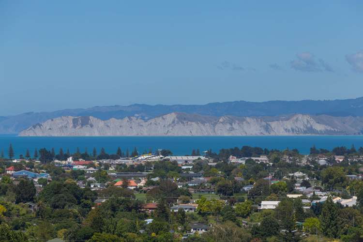 172 Ballance Street Whataupoko_20