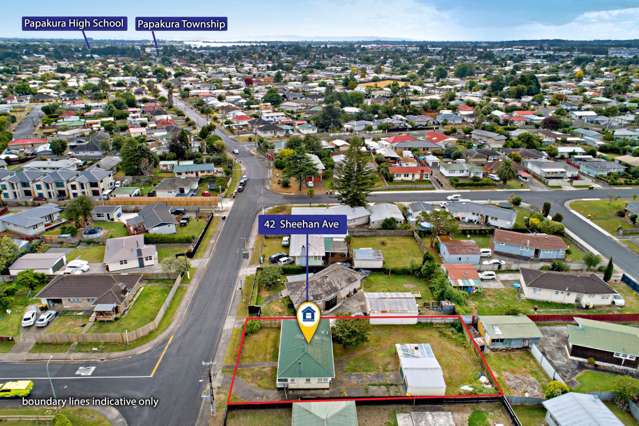 42 Sheehan Avenue Papakura_1
