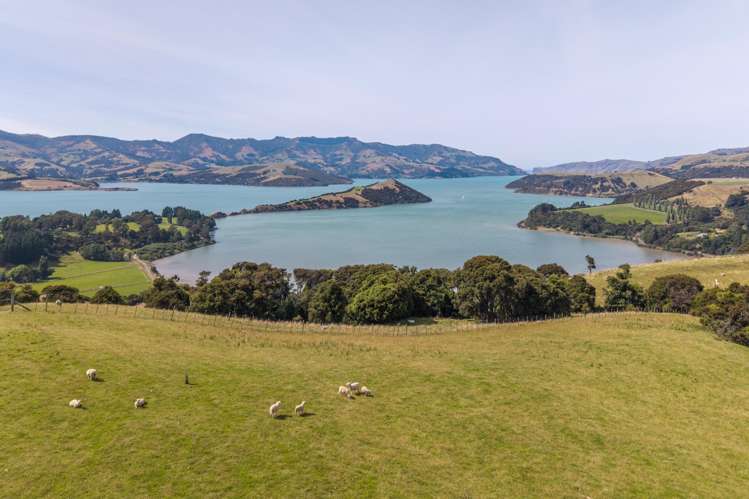 175 Barrys Bay Valley Road Barrys Bay_13