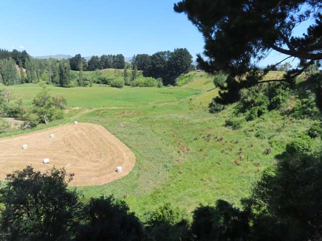 85 Barraud Street Dannevirke_4