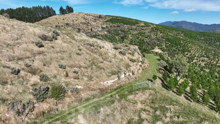 Paruwai Road Ruakokoputuna_5