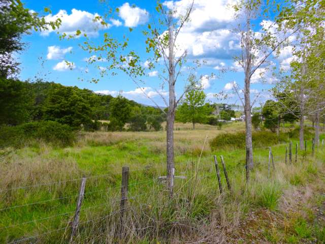 63 Kaihu Wood Road Dargaville Surrounds_1