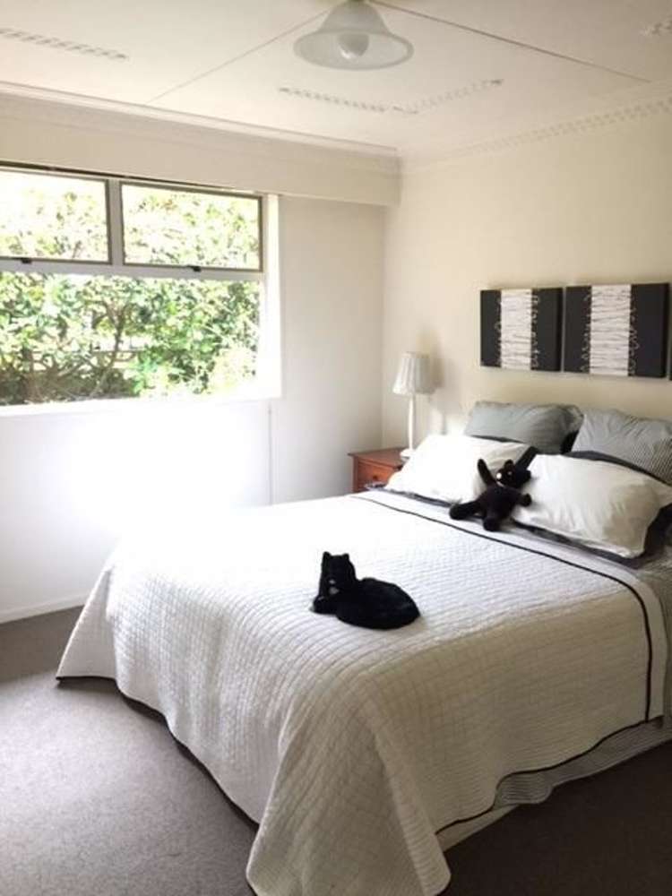 3a Stoutgate Dunedin Central_3