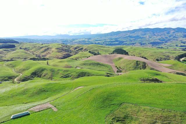 810 Spur Road Ashhurst_3