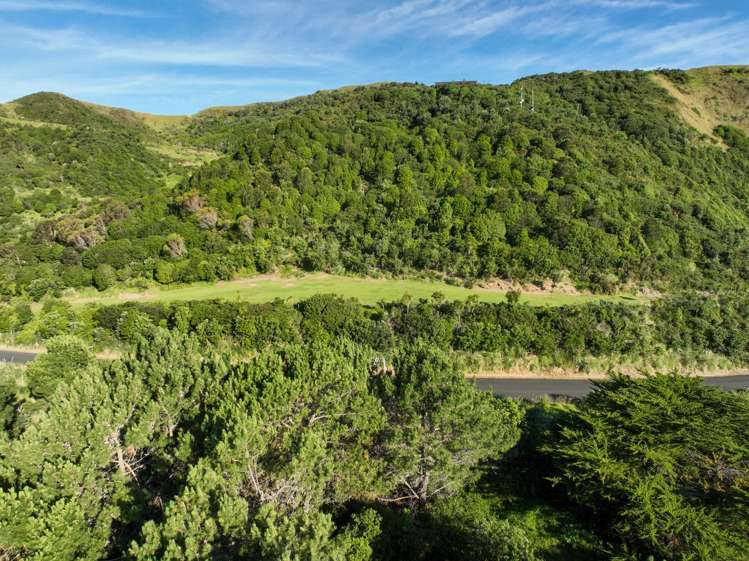 1 Newcastle Street sections Māhia_14