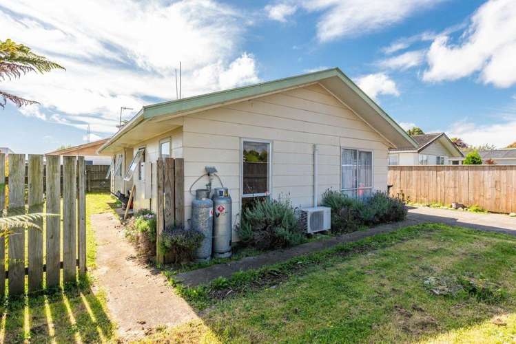  179 Tiro Tiro Road Levin_9