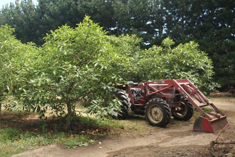 44 Te Ngaio Point Road Tapora_9