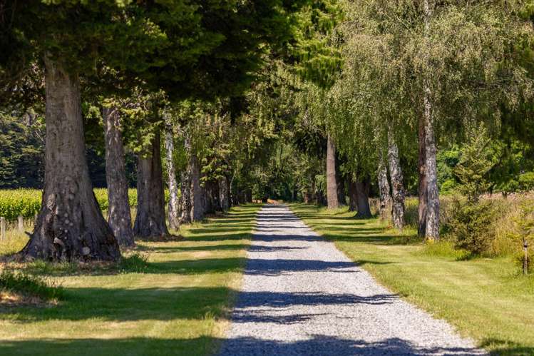 1081 State Highway 63 Renwick_30